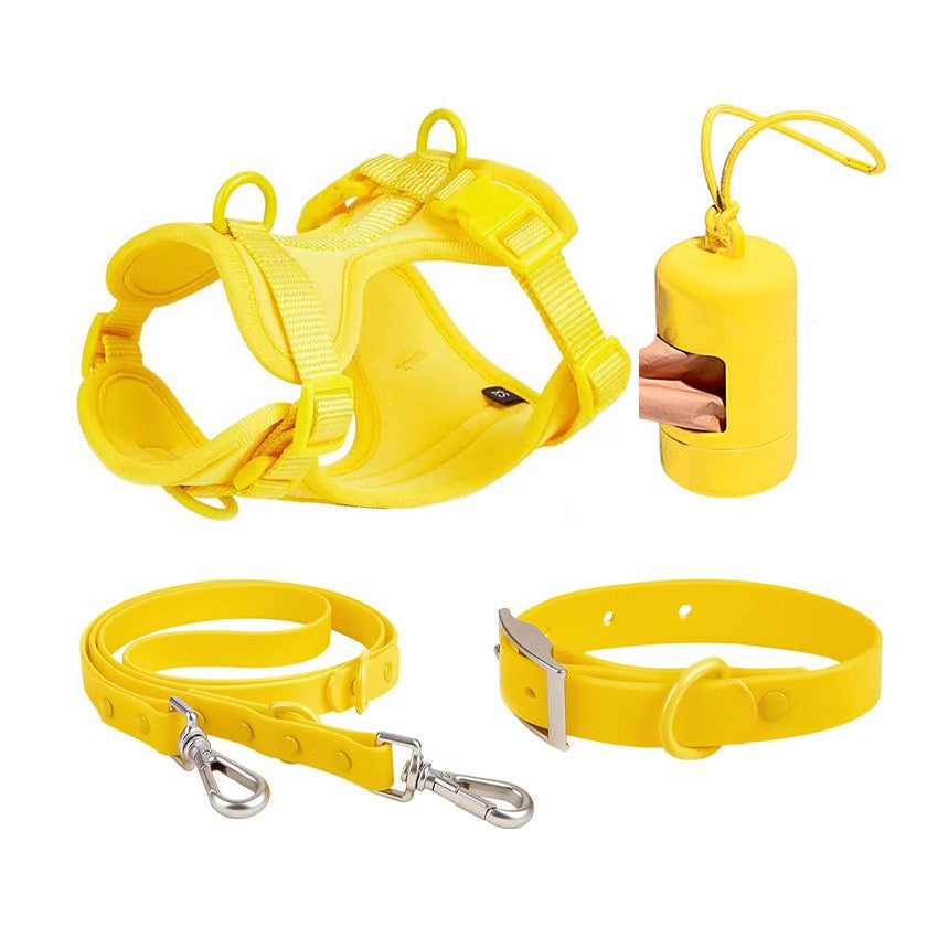 Anti-bite and waterproof 4-piece dog harness and leash set