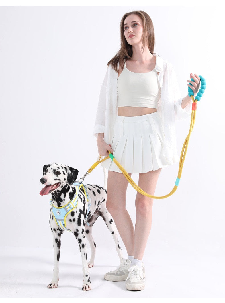 Dopamine-colored pet leash and collar