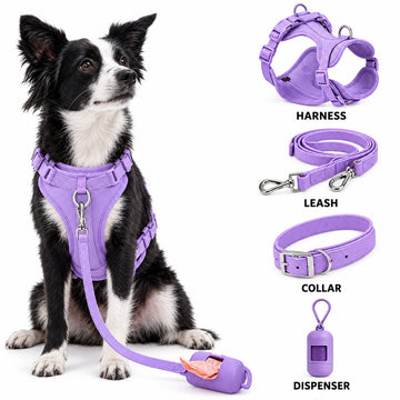 Durable 4-Piece Dog Harness & Leash Set