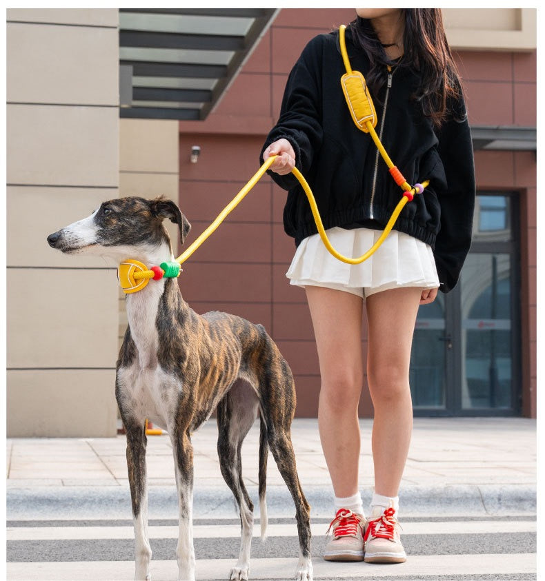 Active Flex Dog  Leash