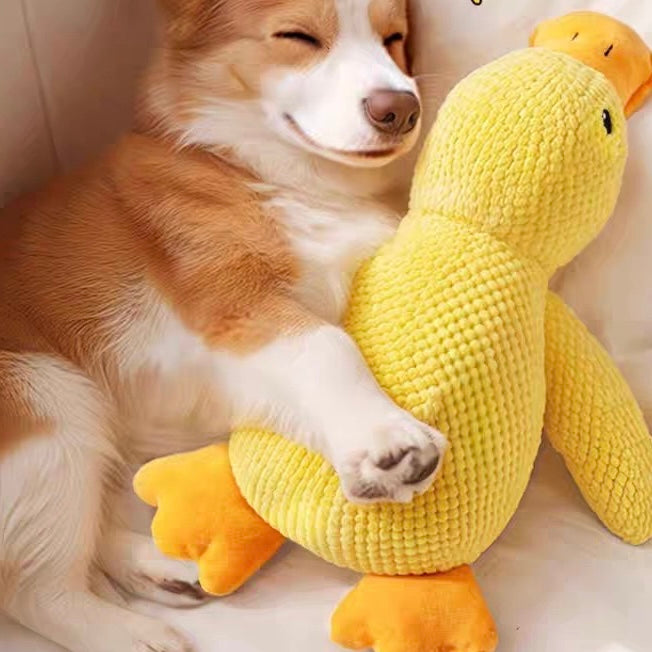 Interactive Squeaky Dog Toy - Crinkle Duck