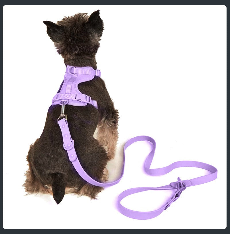 Anti-bite and waterproof 4-piece dog harness and leash set