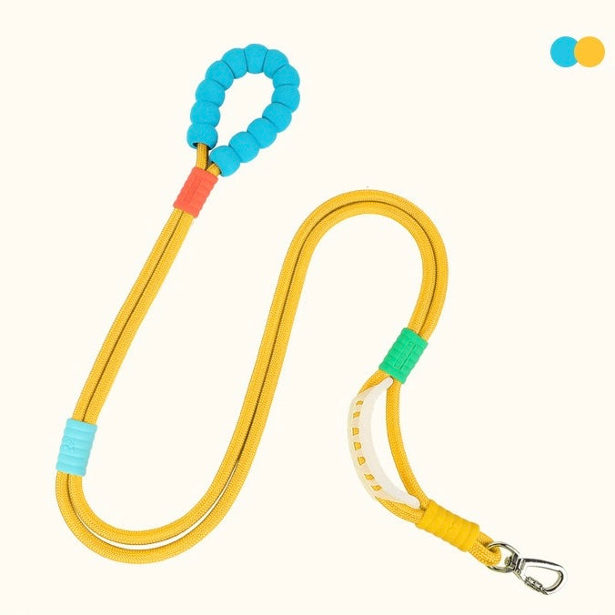 Dopamine-colored pet leash and collar
