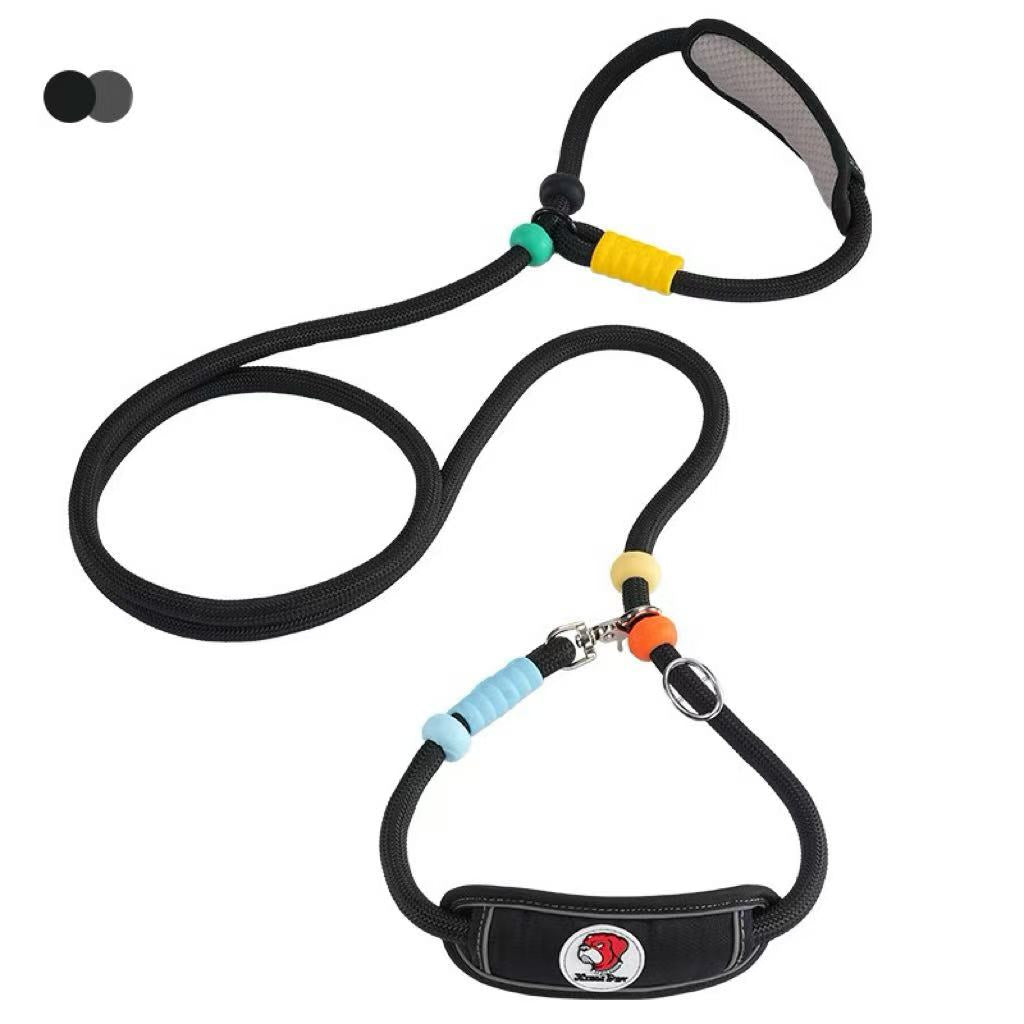 Active Flex Dog  Leash