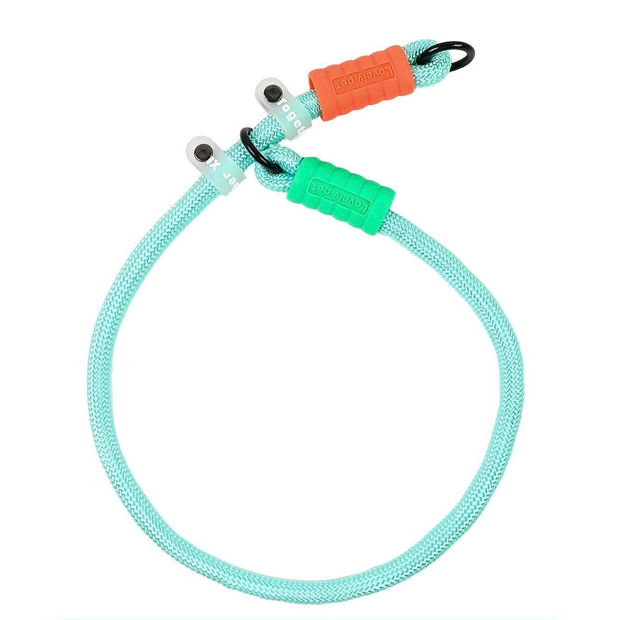 Dopamine-colored pet leash and collar
