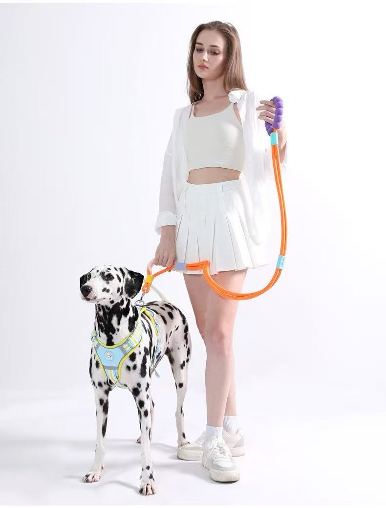 Dopamine-colored pet leash and collar