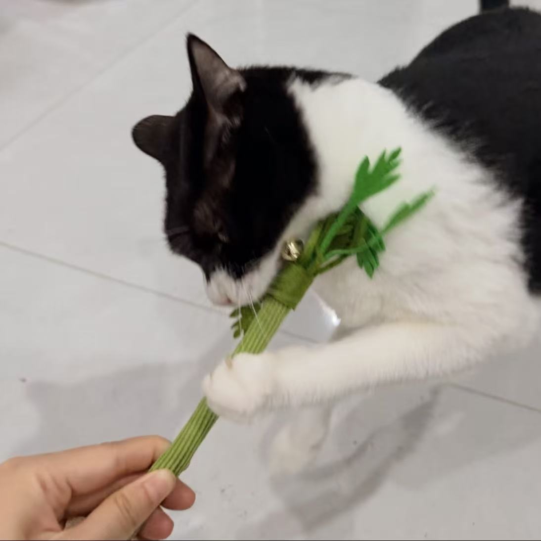 Catnip-Inspired Cat Dental Toy