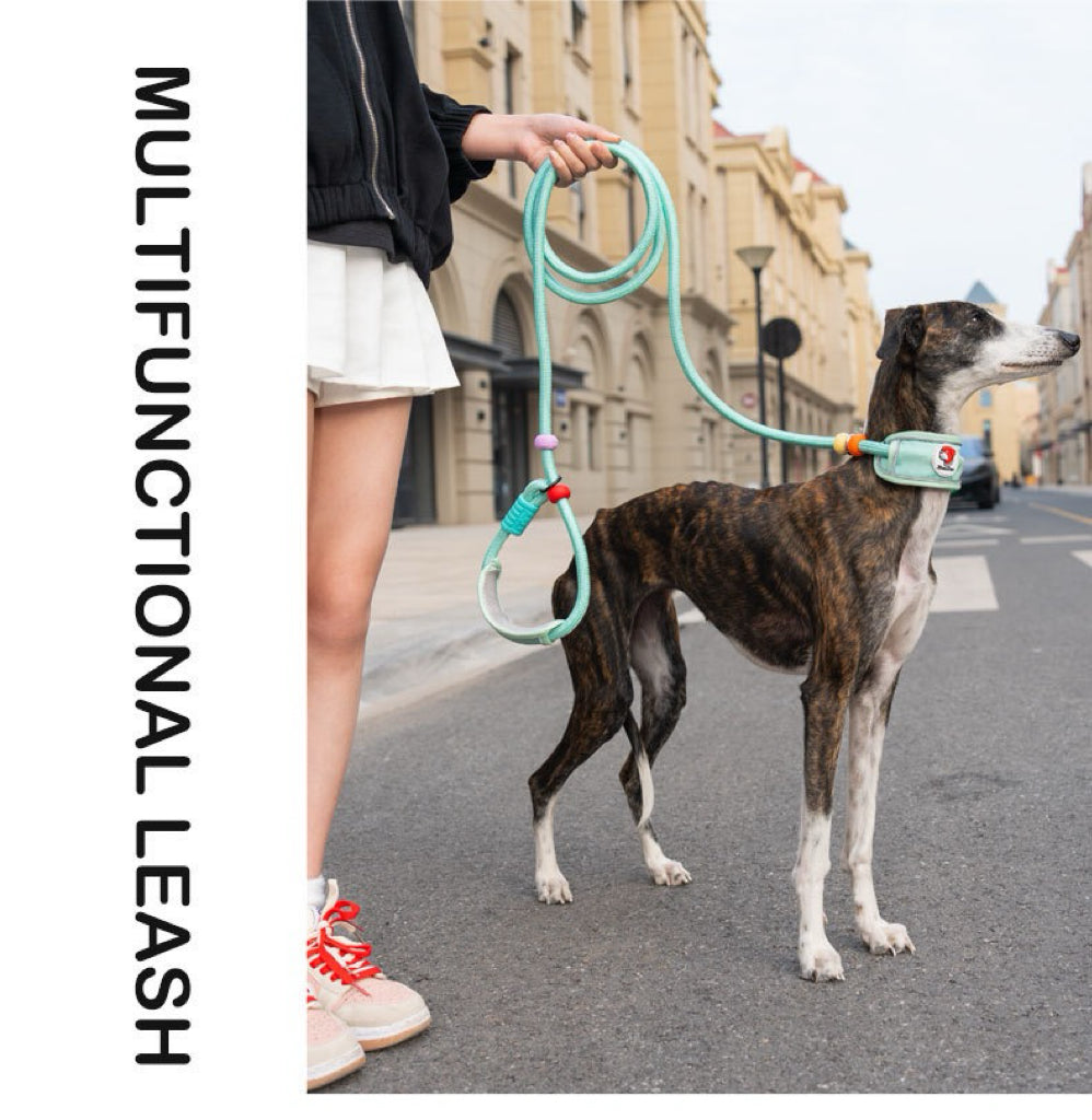 Active Flex Dog  Leash