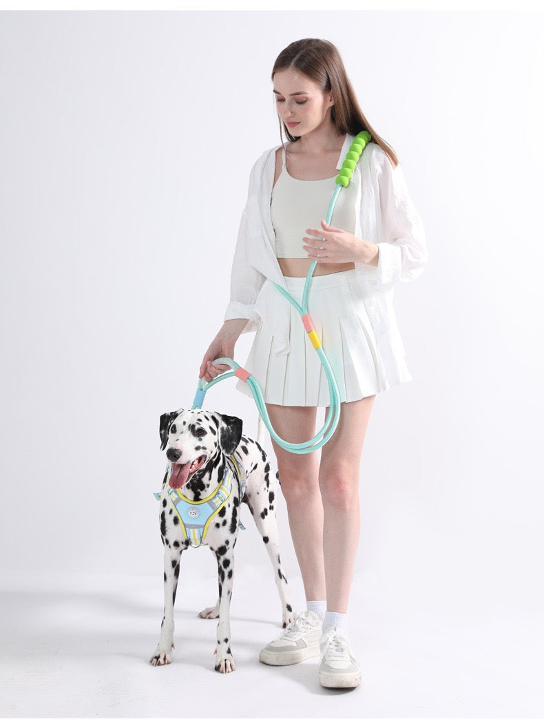 Dopamine-colored pet leash and collar