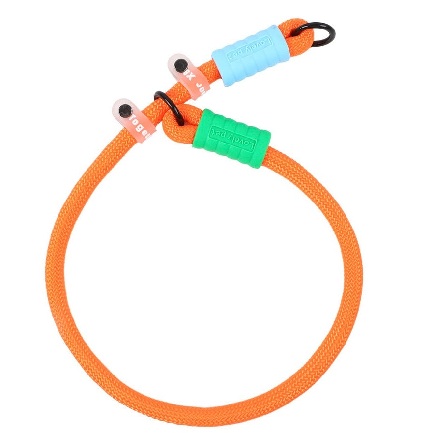 Dopamine-colored pet leash and collar