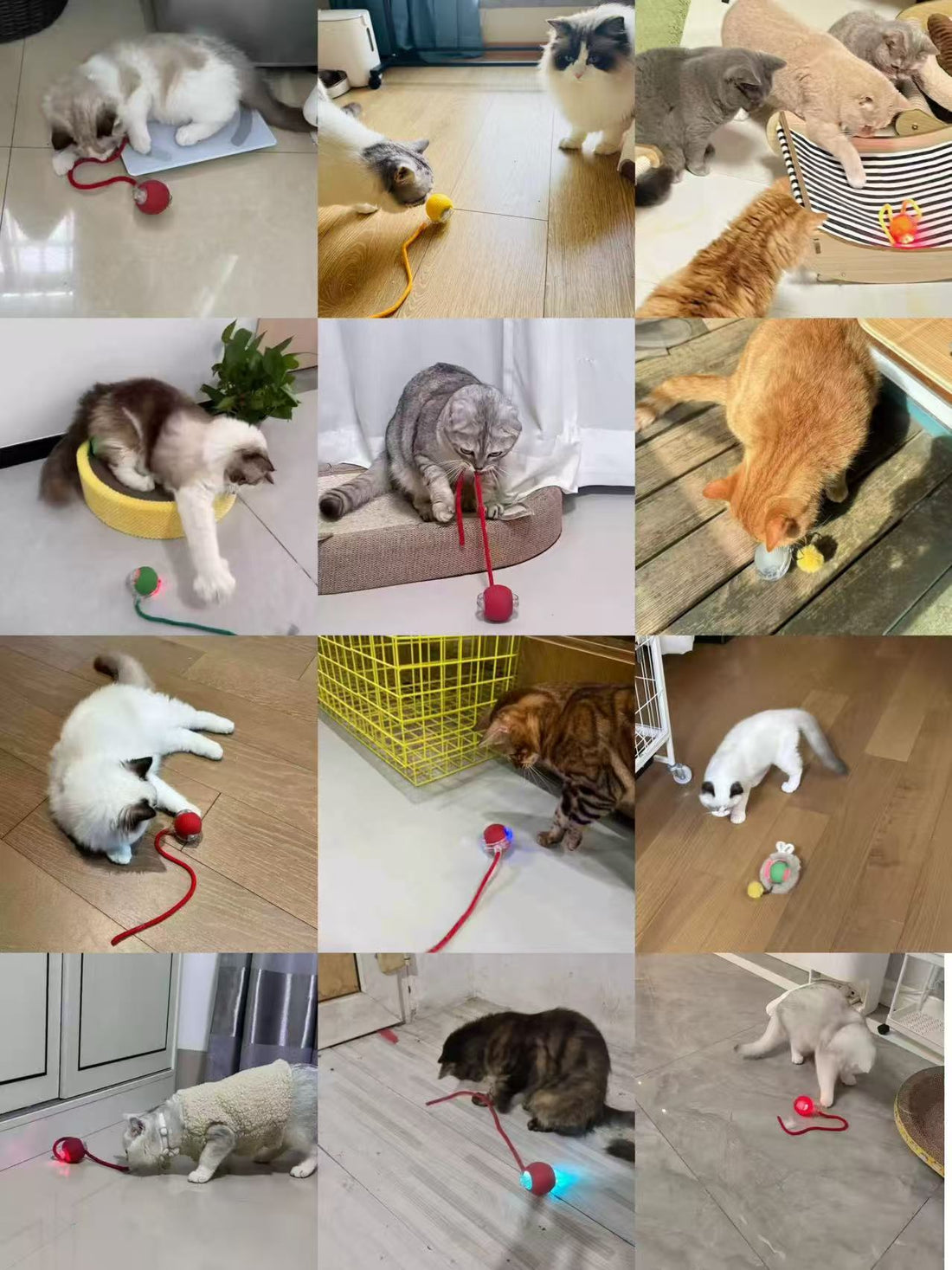 Chilltails™ Anti-Anxiety Smart Motion Toy for Cats