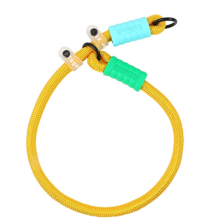 Dopamine-colored pet leash and collar