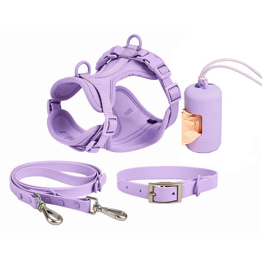 Anti-bite and waterproof 4-piece dog harness and leash set