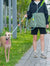 Shock-Absorbing Dog Leash & Adjustable Collar Set
