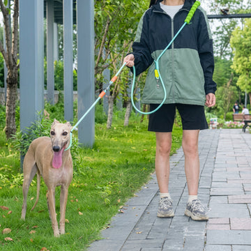 Shock-Absorbing Dog Leash & Adjustable Collar Set