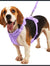 4-in-1 Shock-Absorbing No-Pull Harness Set