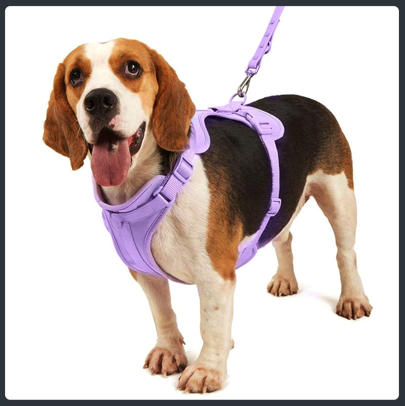 Anti-bite and waterproof 4-piece dog harness and leash set