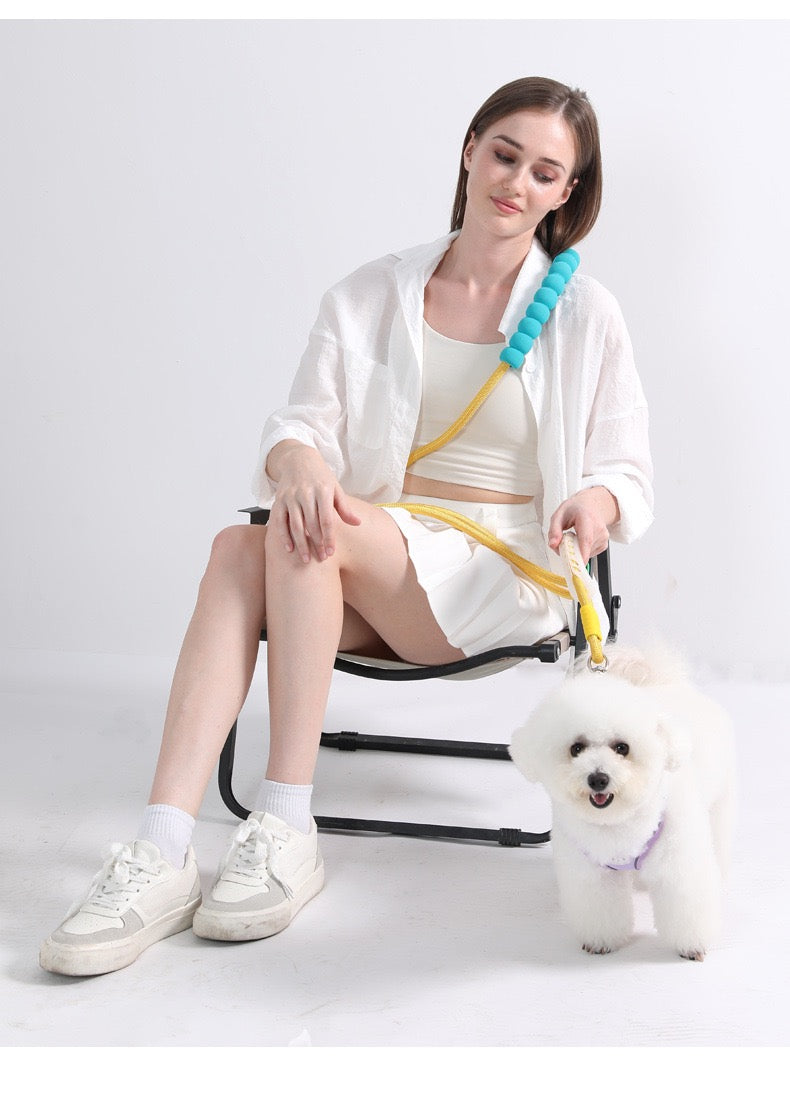 Dopamine-colored pet leash and collar