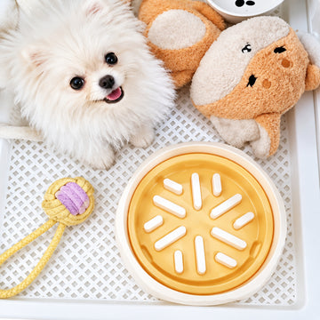 Anti-Choking And Slow Feeder Pet Bowl