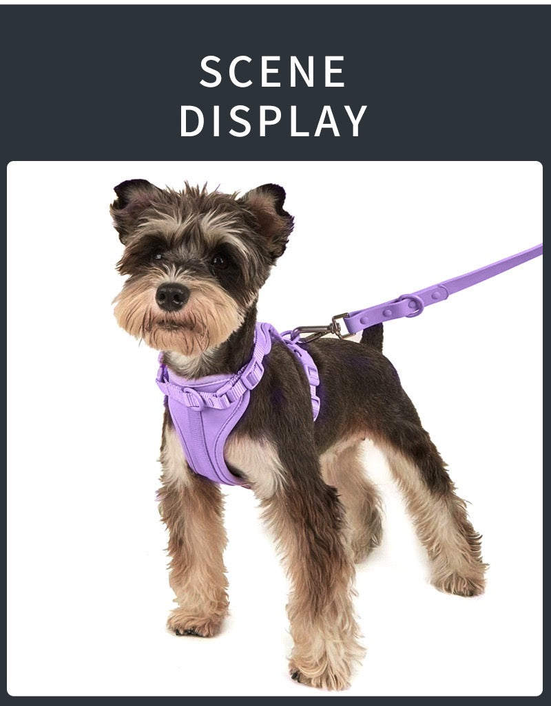 Anti-bite and waterproof 4-piece dog harness and leash set