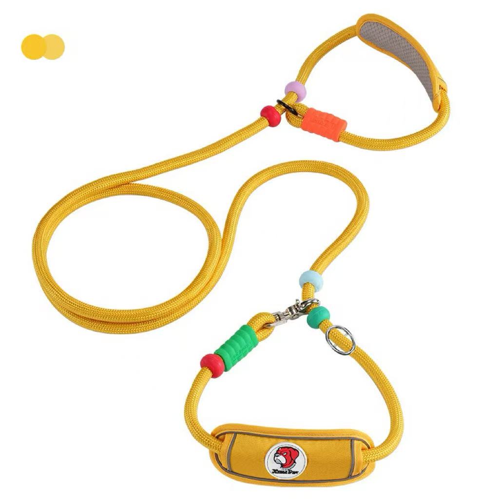 Active Flex Dog  Leash