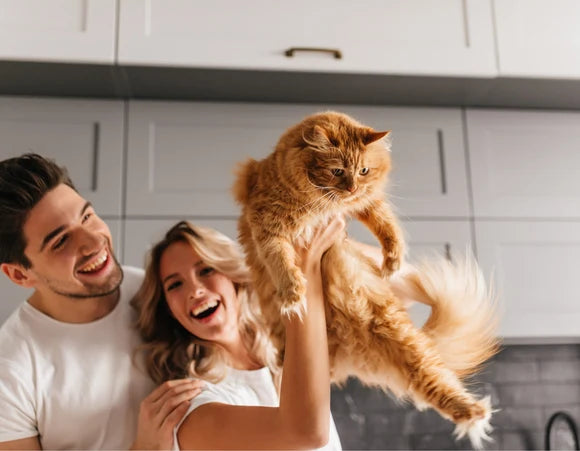 For pets