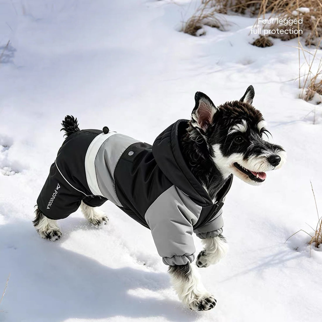 Graphene Thermal Waterproof Dog Outdoor Warm Suit