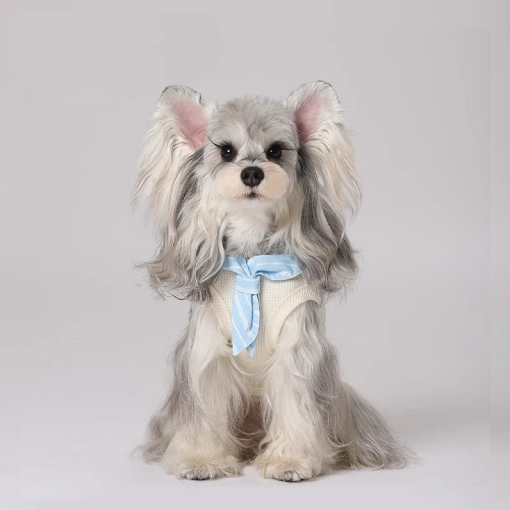 Striped bow tie and vest