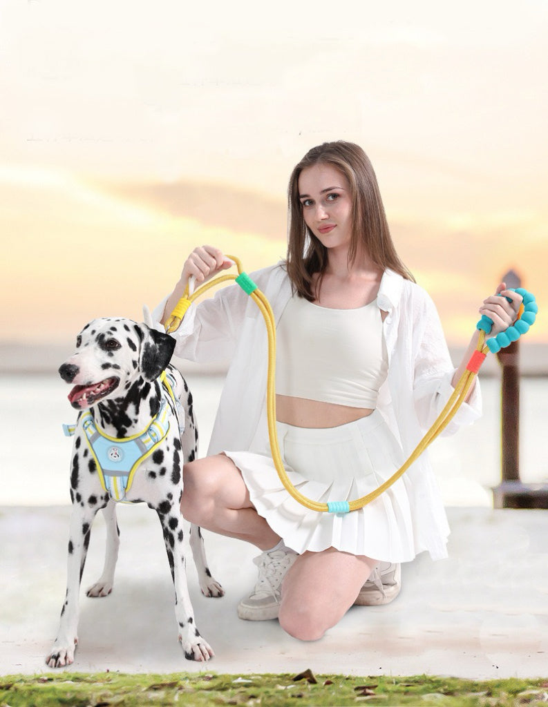Dopamine-colored pet leash and collar