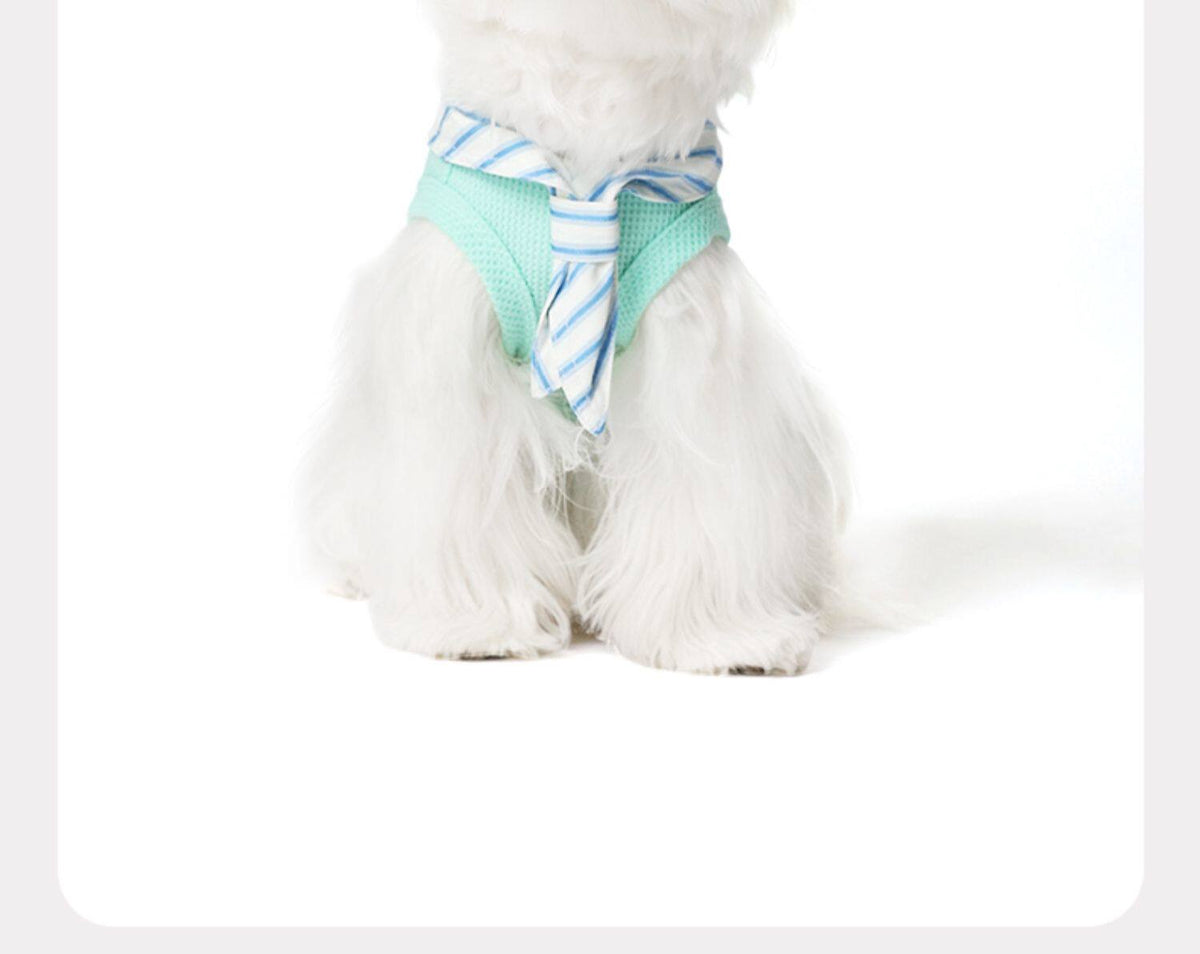 Striped bow tie and vest