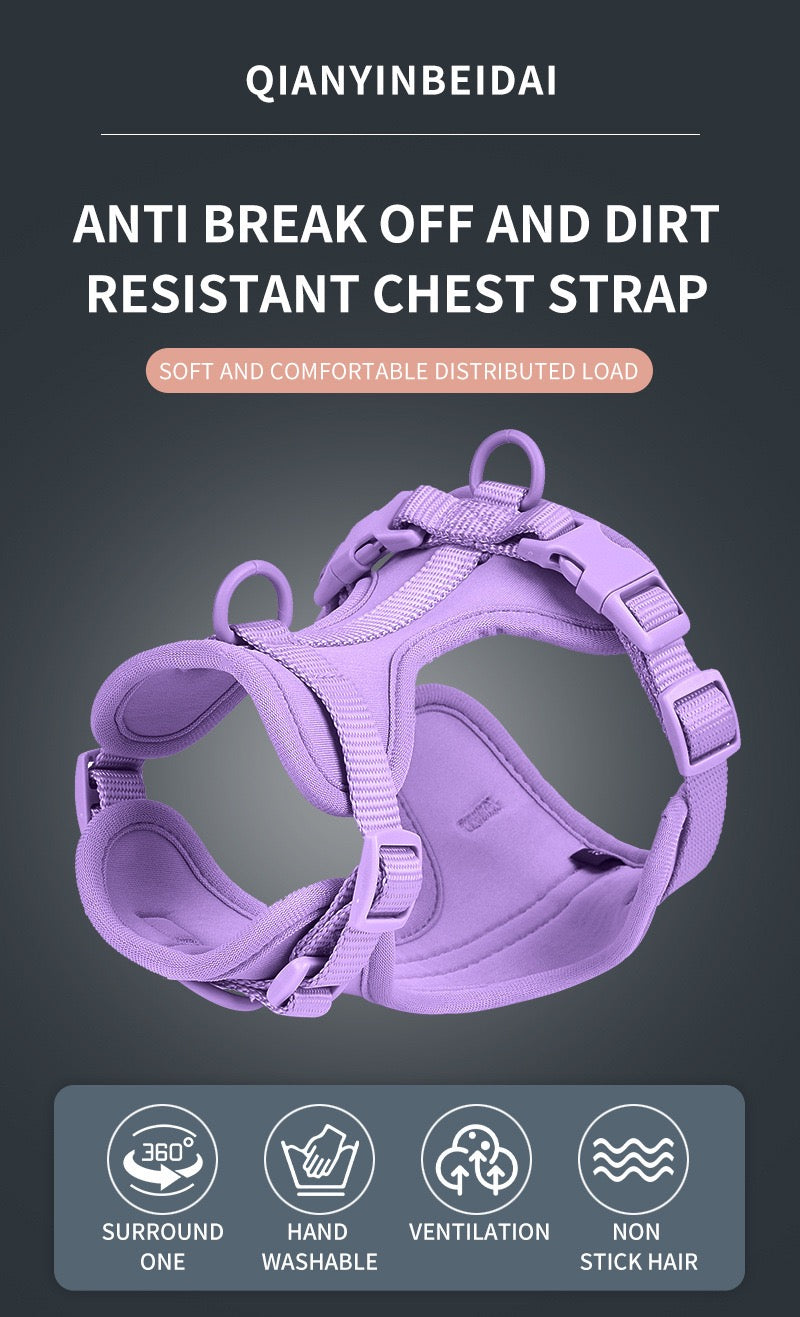 Anti-bite and waterproof 4-piece dog harness and leash set