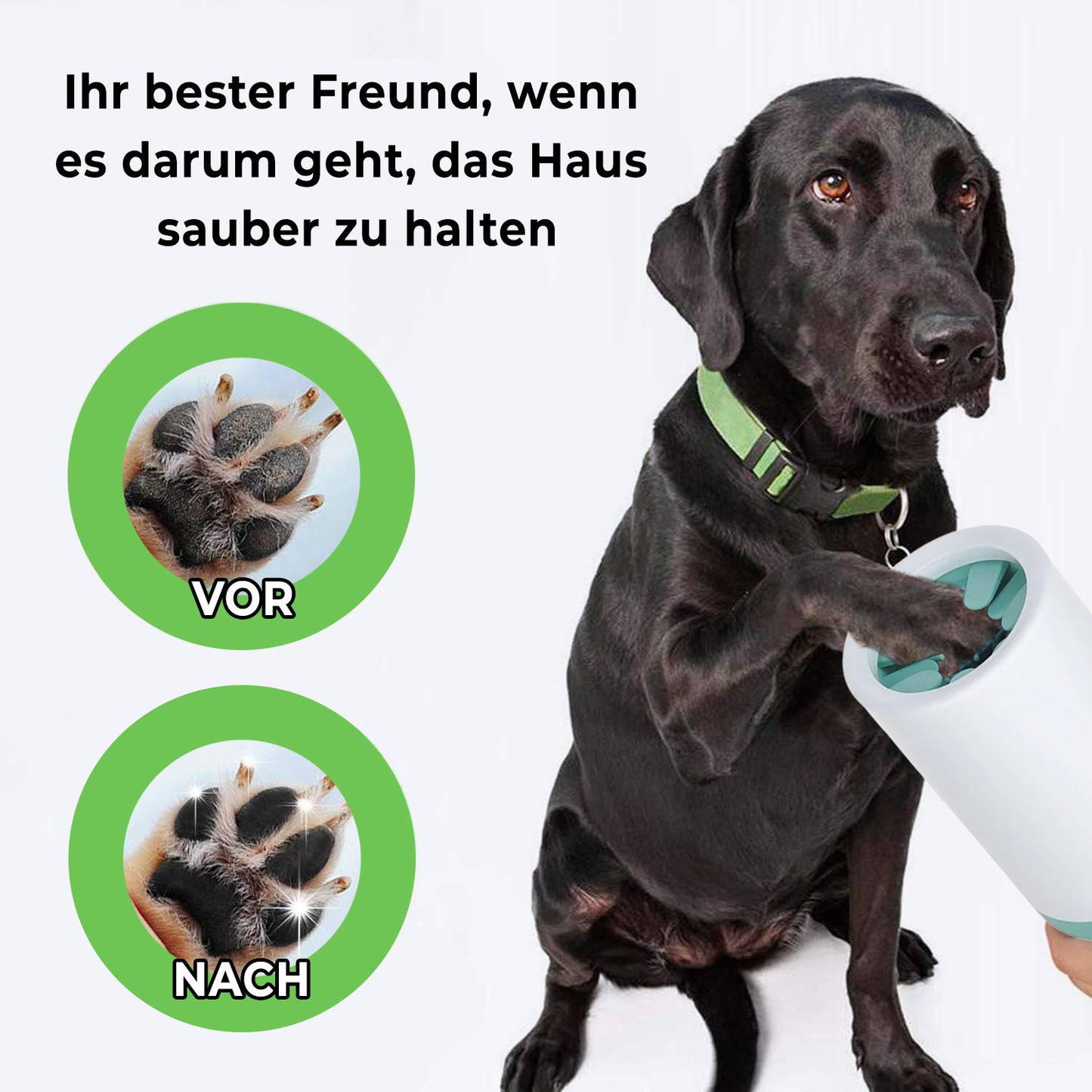 Der beste Weg, Ihren Hund sauber zu halten -  Hundepfoten-Reiniger