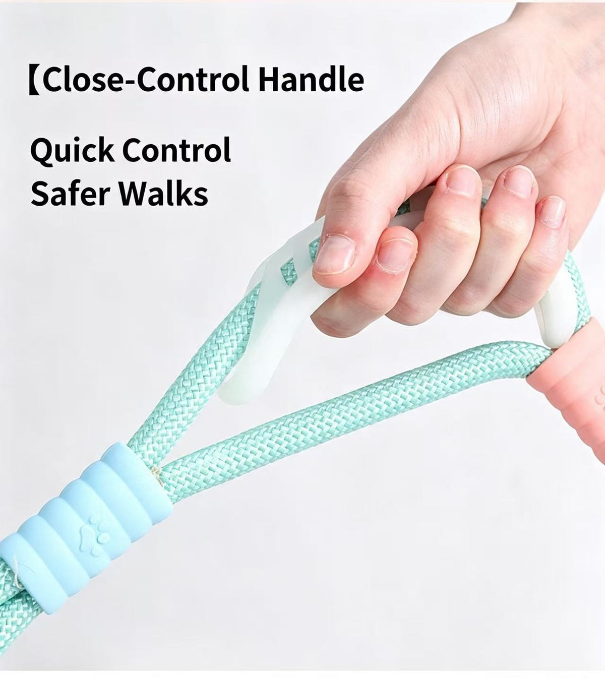 Dopamine-colored pet leash and collar