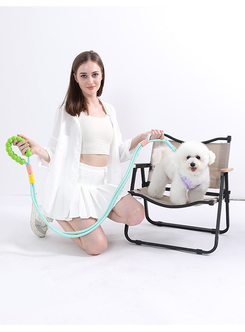 Dopamine-colored pet leash and collar