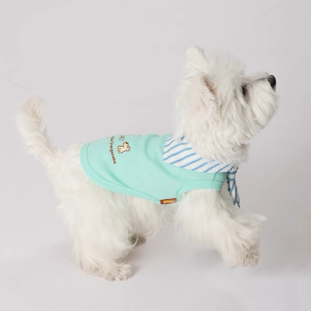 Striped bow tie and vest