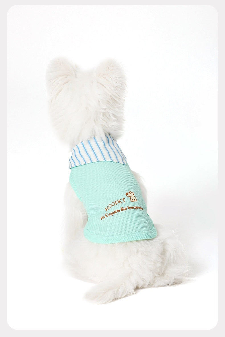 Striped bow tie and vest