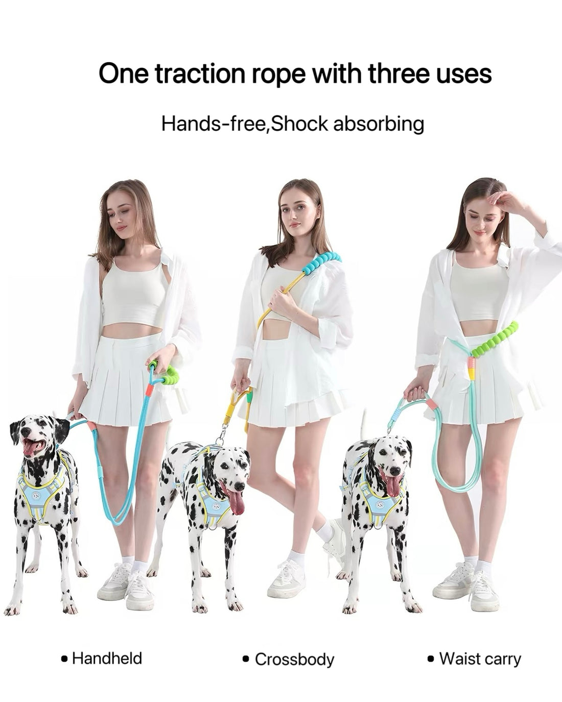 Shock-Absorbing Dog Leash & Adjustable Collar Set
