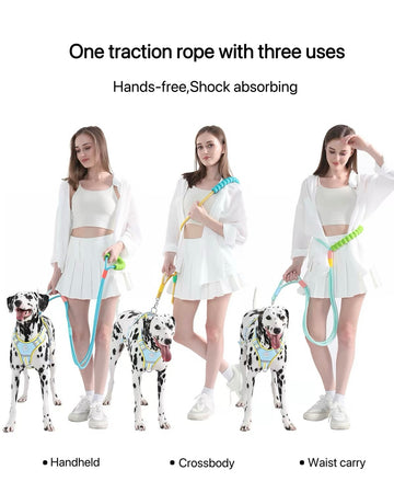 Shock-Absorbing Dog Leash & Adjustable Collar Set