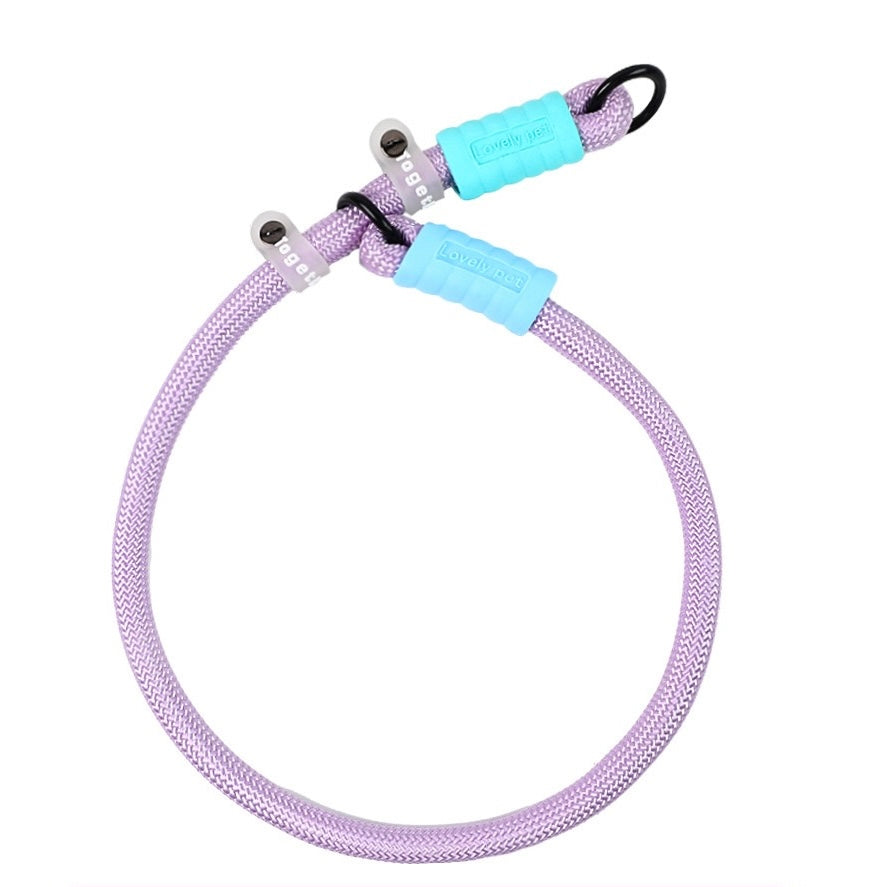Dopamine-colored pet leash and collar