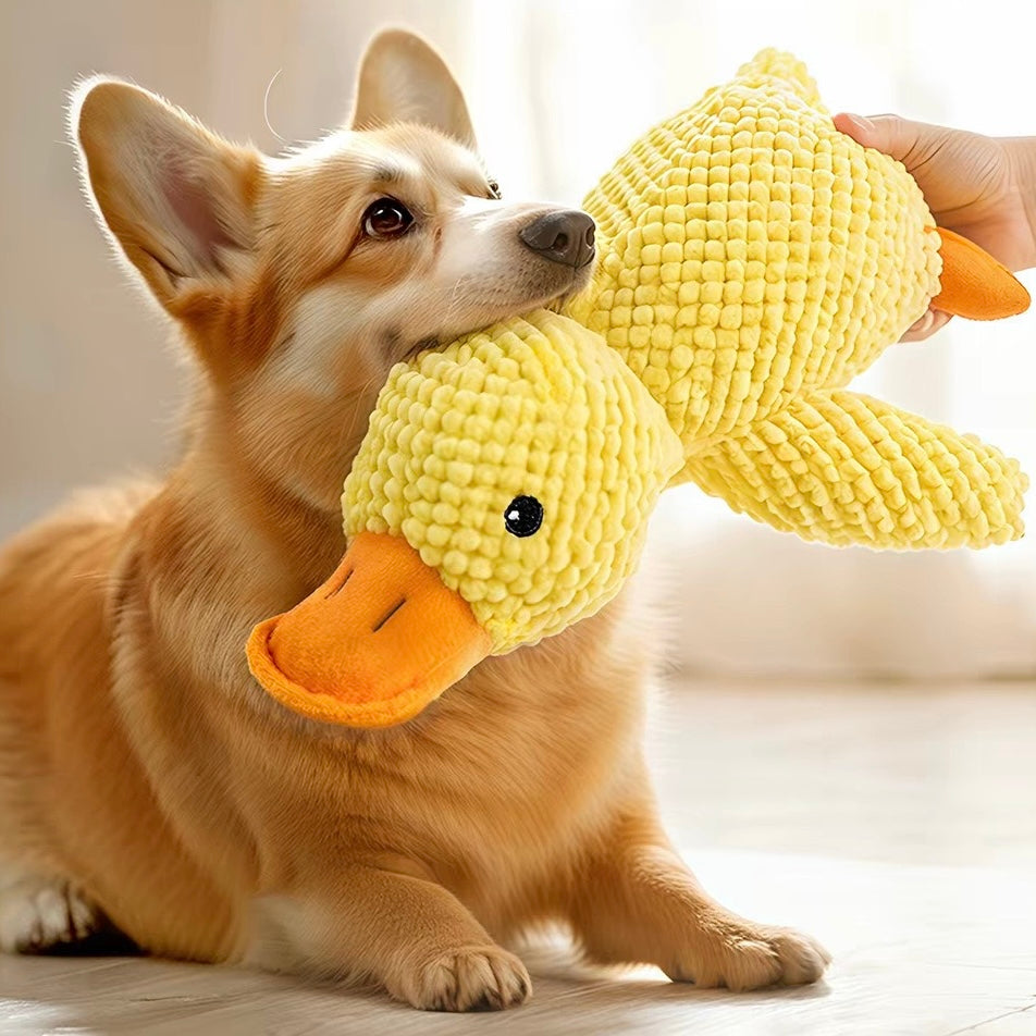 Interactive Squeaky Dog Toy - Crinkle Duck