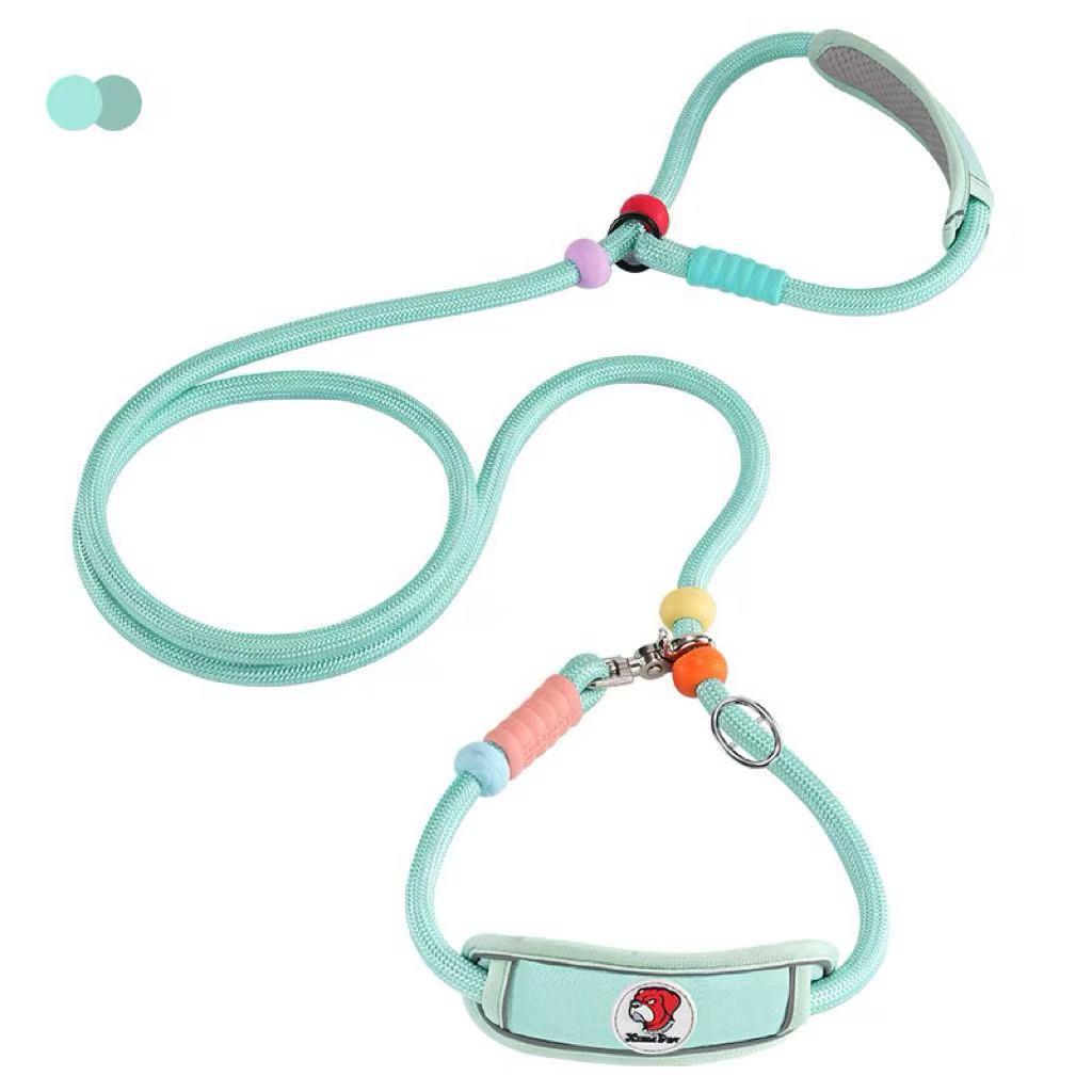 Active Flex Dog  Leash