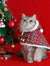 Christmas-style warm cape for cats