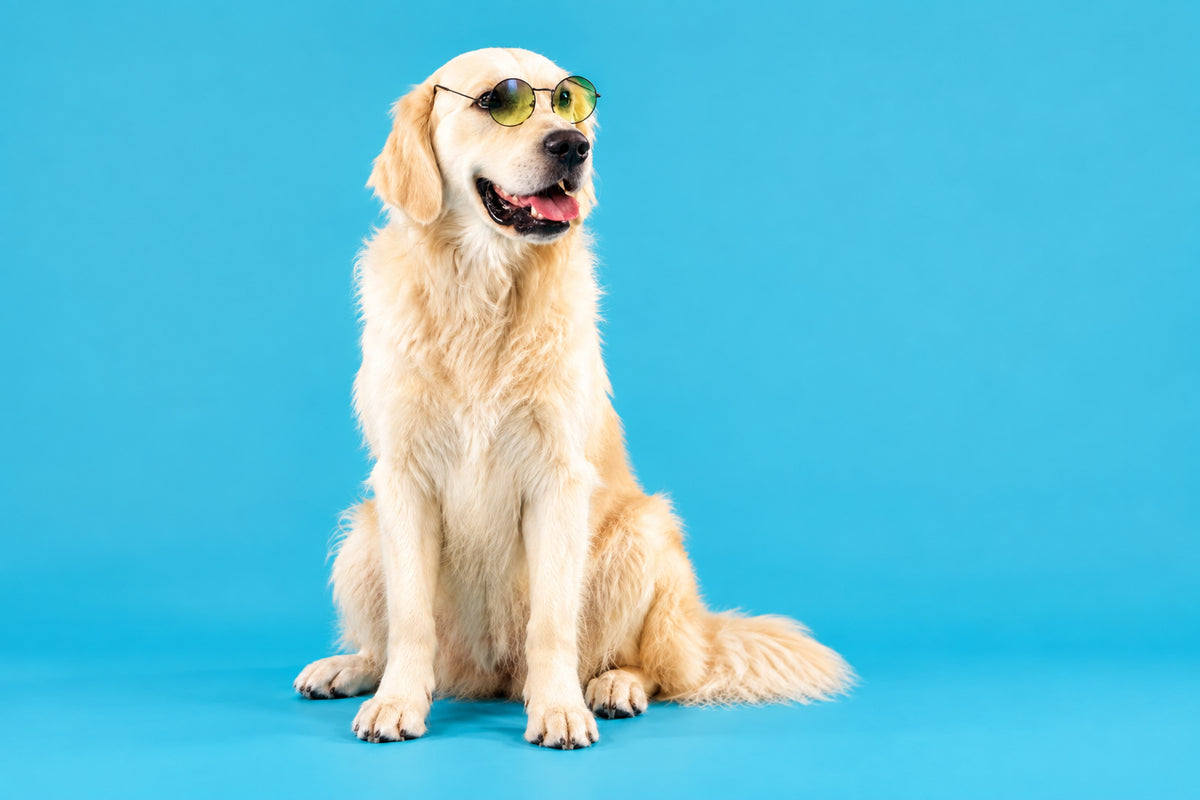 slider image 1621243260e1af0c20-0